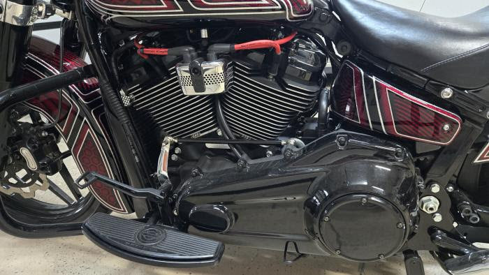 2019 Harley Davidson Softail Slim Custom