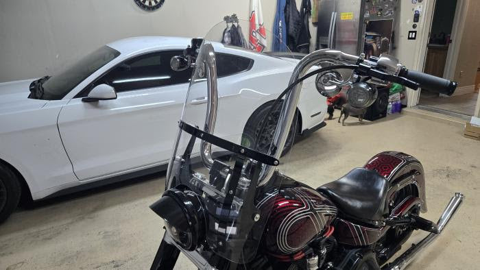 2019 Harley Davidson Softail Slim Custom