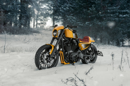 2017 Harley Davidson ROADSTER XL1200CX By Killer Customs