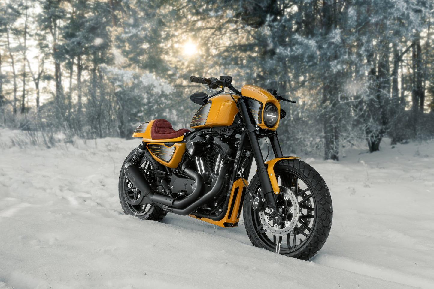 2017 Harley Davidson ROADSTER XL1200CX By Killer Customs