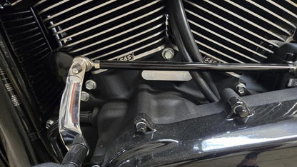 2019 Harley Davidson Softail Slim Custom