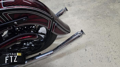 2019 Harley Davidson Softail Slim Custom