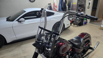 2019 Harley Davidson Softail Slim Custom
